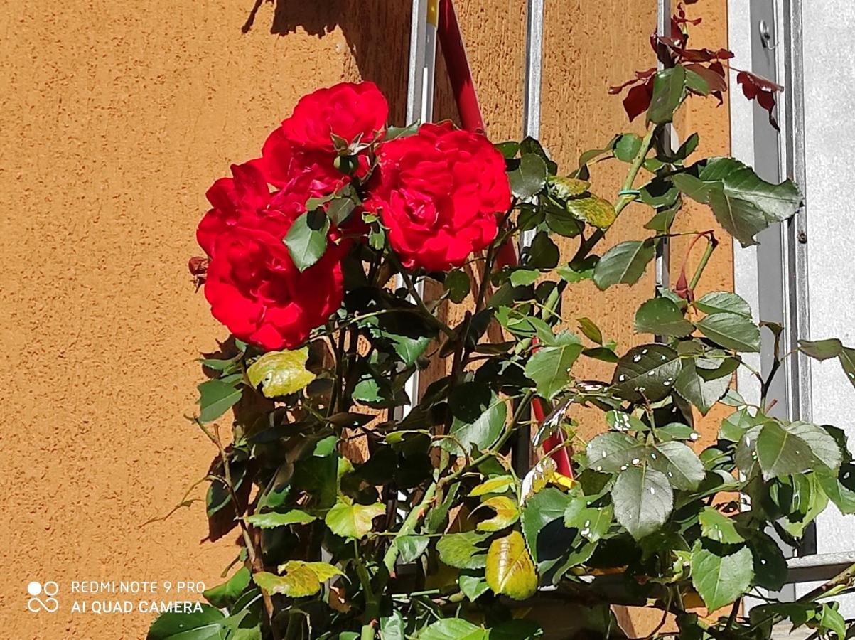 Beb Da Gaia E Giulio Bed & Breakfast Reno Di Leggiuno Bagian luar foto